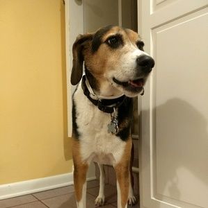 Meet your Posher, Jane